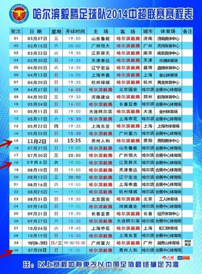 2014中超毅腾哈尔滨主场 回顾2014中超毅腾哈尔滨主场比赛