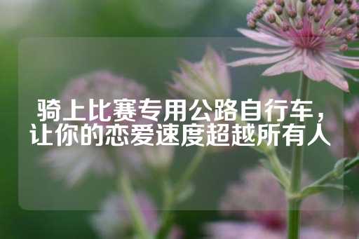 骑上比赛专用公路自行车，让你的恋爱速度超越所有人-第1张图片-皇冠信用盘出租