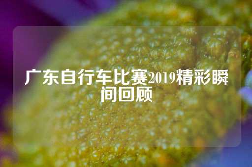 广东自行车比赛2019精彩瞬间回顾