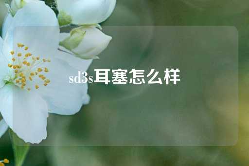 sd3s耳塞怎么样